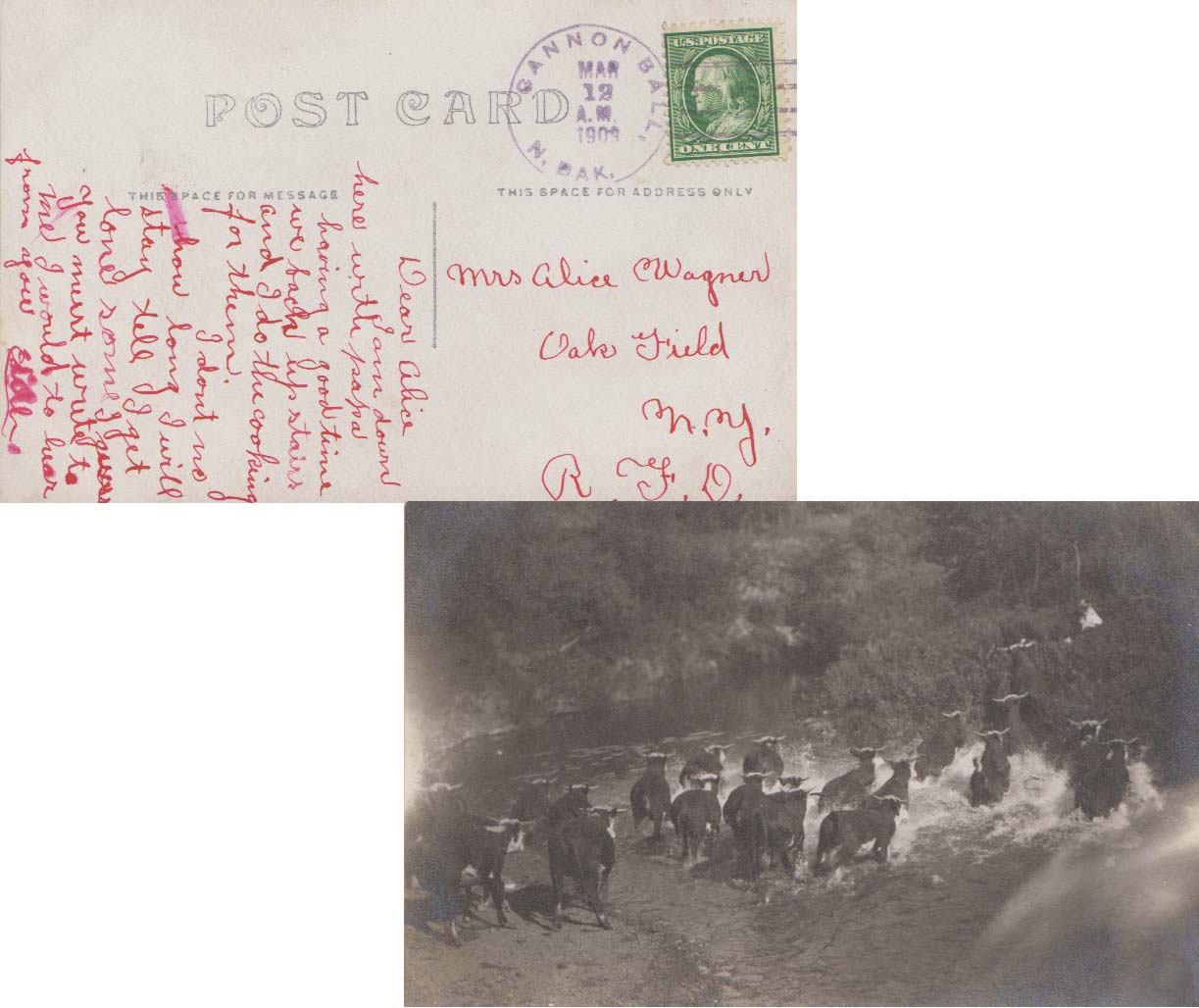 Lot ND090312 - United States North Dakota  -  Jim Forte Postal History Sale List 2017