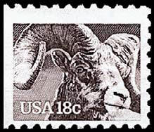 18c Bighorn Wildlife