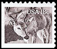 18c White Tailed Deer