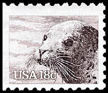 18c Harbor Seal Wildlife
