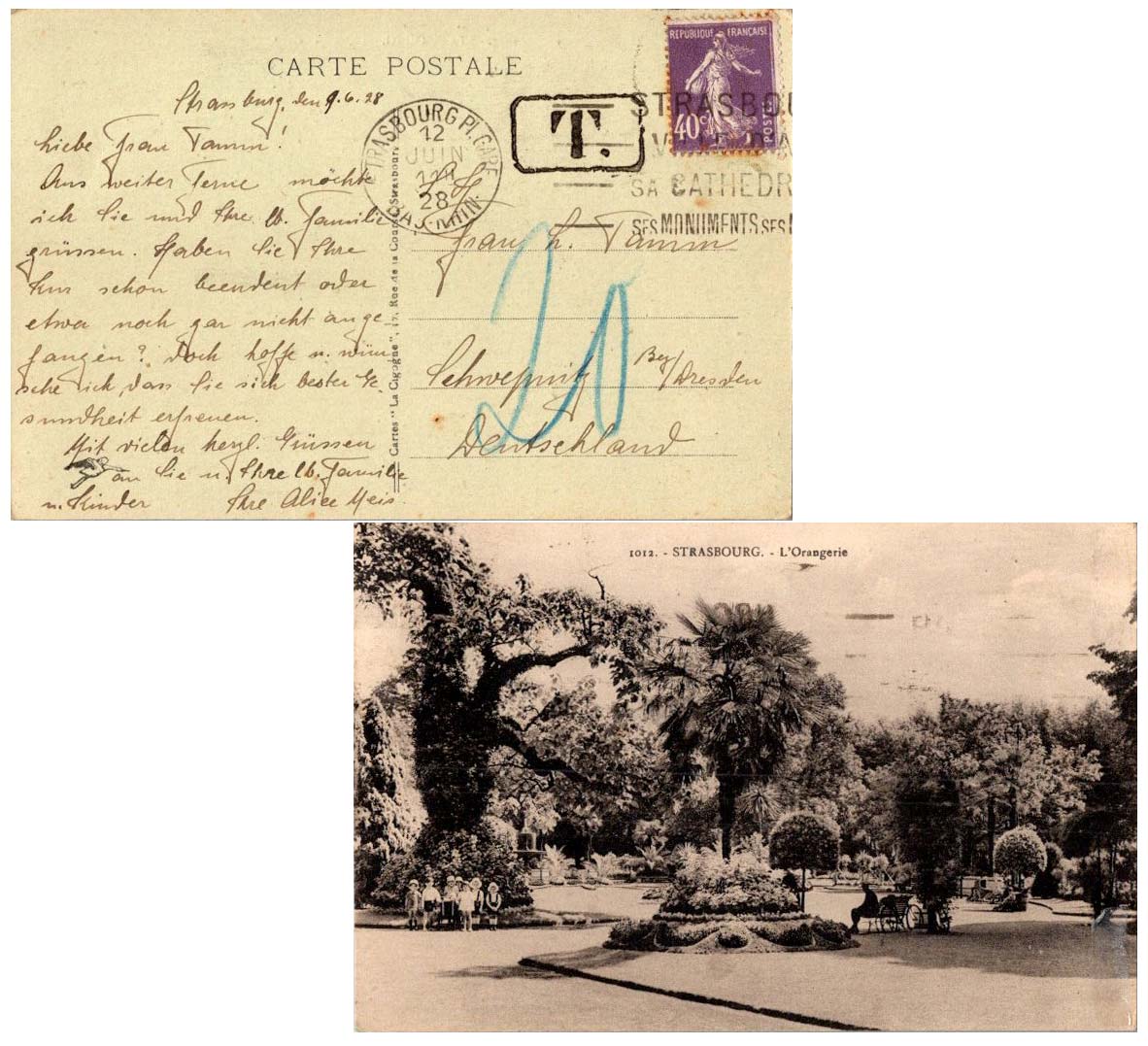 IMAGE LOADING... PLEASE WAIT