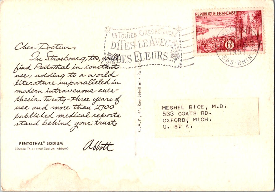 IMAGE LOADING... PLEASE WAIT