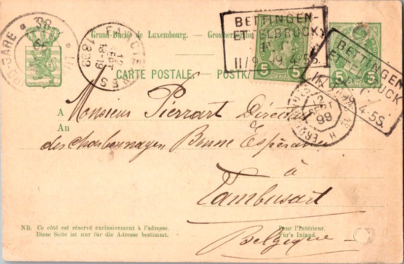 IMAGE LOADING... PLEASE WAIT