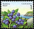 Edible Berries